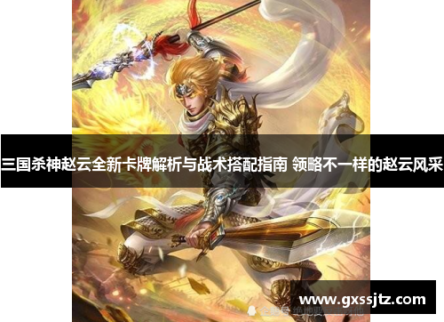 三国杀神赵云全新卡牌解析与战术搭配指南 领略不一样的赵云风采