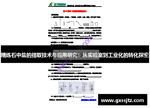 精练石中盐的提取技术与应用研究：从实验室到工业化的转化探索
