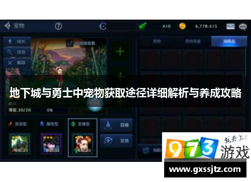 地下城与勇士中宠物获取途径详细解析与养成攻略